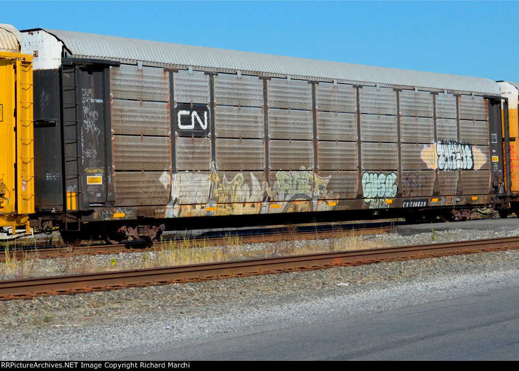 CN 710839